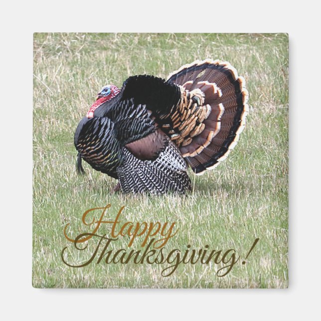 Imã Feliz Dia de Ação de Graças Wild Turkey Magnet (Frente)