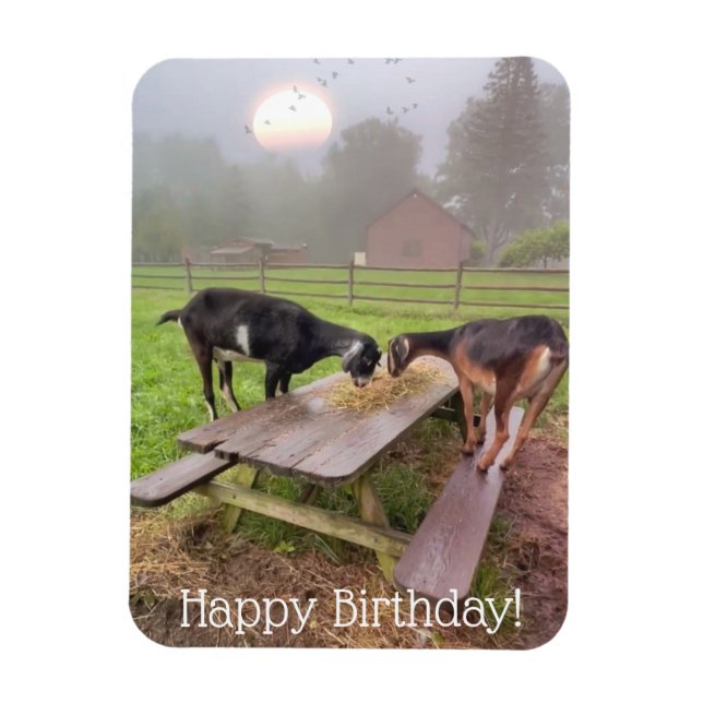 Ímã Feliz Dia de Aniversário do Sunset Goats (Vertical)