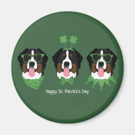 Imã Feliz Dia de São Patrício Bernese Mountain Dogs