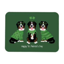 Ímã Feliz Dia de São Patrício Bernese Mountain Dogs