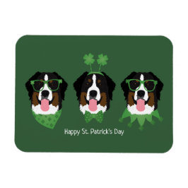 Ímã Feliz Dia de São Patrício Bernese Mountain Dogs