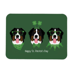 Ímã Feliz Dia de São Patrício Bernese Mountain Dogs
