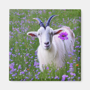 Imã Feliz Goat