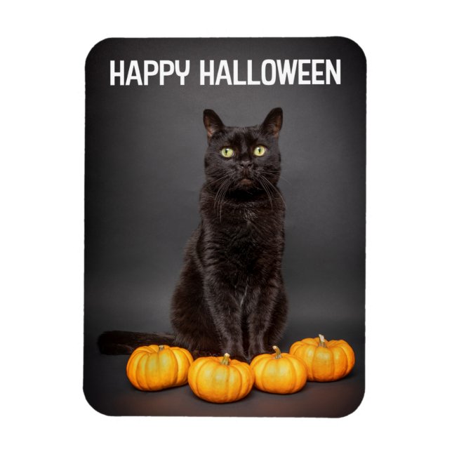 Ímã Feliz Halloween Para Todos Os Gatos Pretos Com Abó (Vertical)