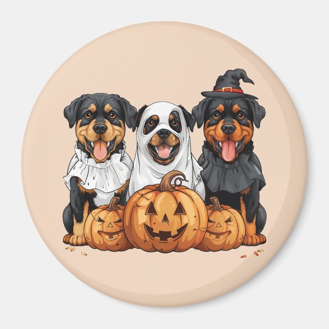 Imã Feliz Halloween Rottweiler Cães Jack O Lanterna (Frente)