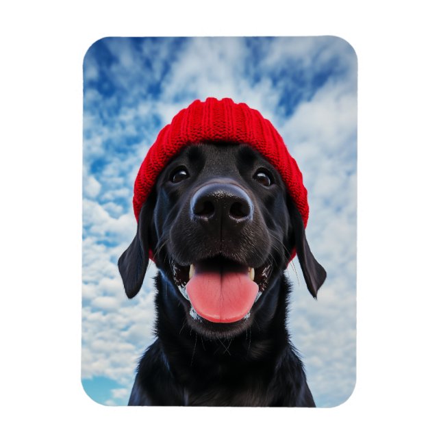 Ímã Feliz Labrador em um Red Beanie Sob um Céu Azul (Vertical)