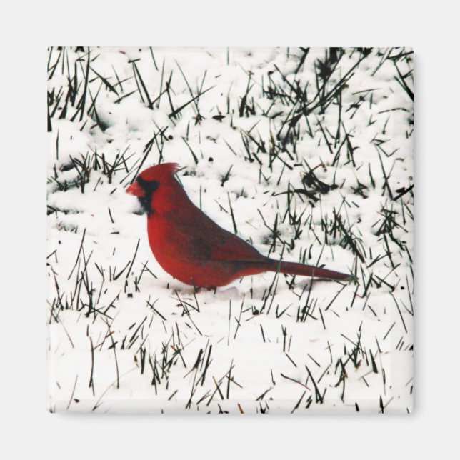 Imã Feliz Natal Cardinal (Frente)