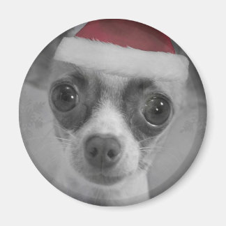 Imã Feliz Natal Chihuahua Puppy com Santa Hat