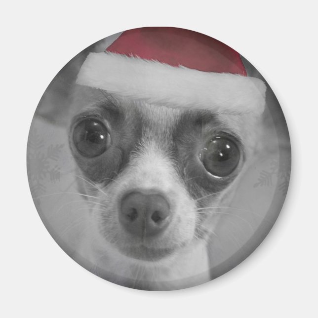 Imã Feliz Natal Chihuahua Puppy com Santa Hat (Frente)