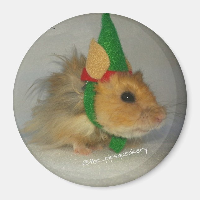 Imã Feliz Natal de Chuck the Elf (Frente)