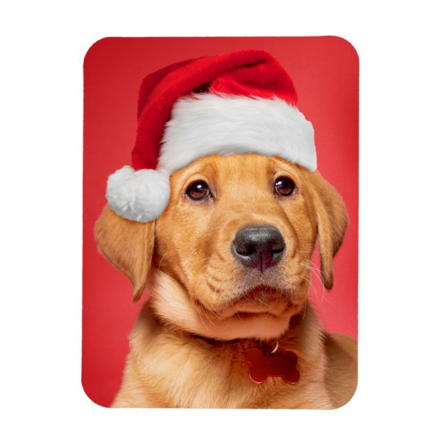 Ímã Feliz Natal, Fofo Labrador Puppy em Santa Hat (Vertical)