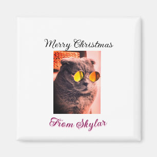 Imã Feliz Natal, gato, cão de estimação, foto de amor