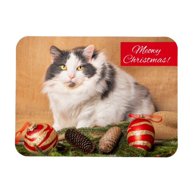 Ímã Feliz Natal Para Qualquer Gato Bonito. (Horizontal)