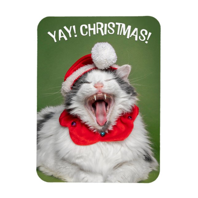 Ímã Feliz Natal para qualquer gato feliz no chapéu (Vertical)