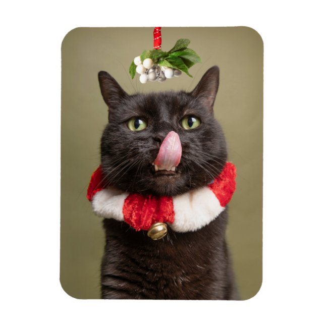 Ímã Feliz Natal Para Qualquer Gato Sob Mistura (Vertical)