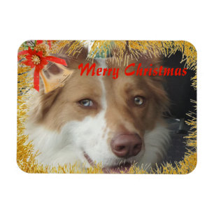 Ímã Feliz Natal Pet Foto