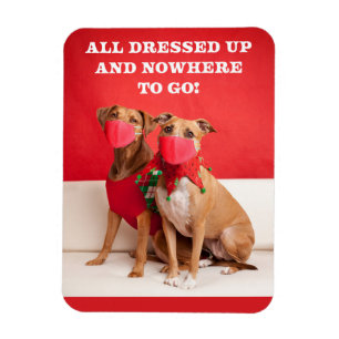 Ímã Feliz Natal Pit Bulls em Rostos Máscaras