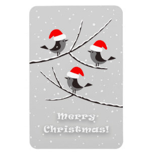 Ímã Feliz Natal Red Santa Hat Birds