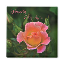 Feliz Nunca Depois da Rosa