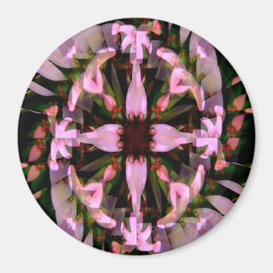 Imã Feliz Primavera.....