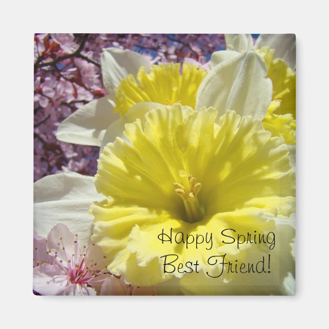 Imã Feliz Primavera Melhor Amigo! ímã Narcisos Brilhan (Frente)