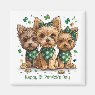 Imã Feliz Rua. Dia de Patrick Yorkshire Terrier Dogs