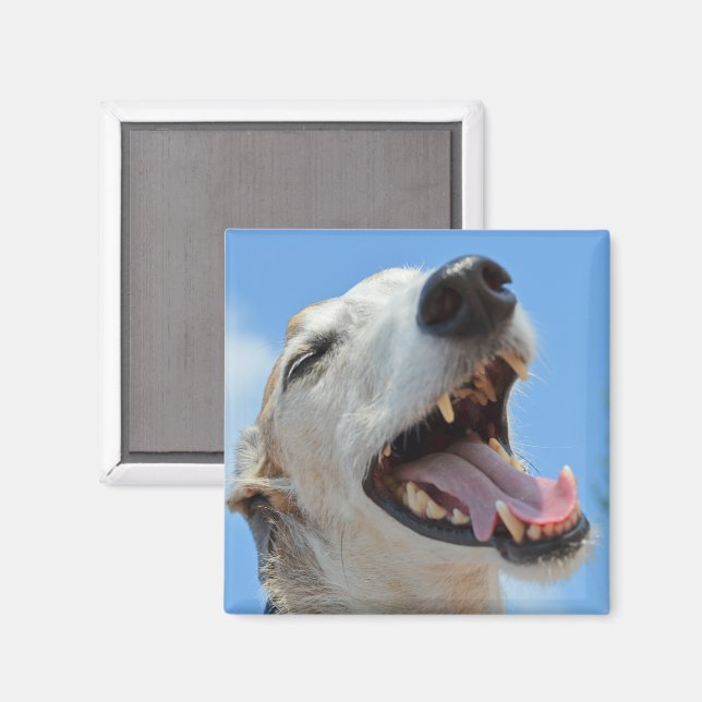 Imã Feliz Sorriso De Rosto Greyhound Fechado (Front/Back)