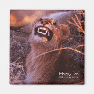 Imã Feliz Tau, Cubo Leão Sorridente