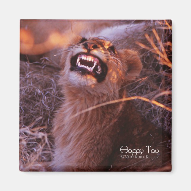 Imã Feliz Tau, Cubo Leão Sorridente (Frente)