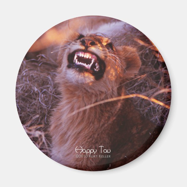 Imã Feliz Tau, Cubo Leão Sorridente (Frente)