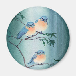 IMÃ FELIZMENTE, BLUEBIRDS, DE SHARON SHARPE