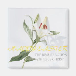 Imã Felz pascoa .lily