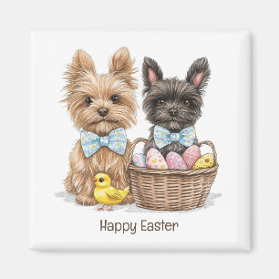 Imã Felz pascoa Yorkshire Terrier Dogs