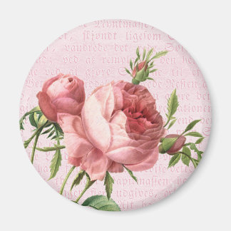 Imã Feminina e bela vintage, rosa rosa-rosa