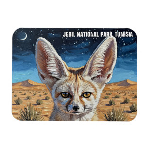 Ímã Fennec Fox no Parque Nacional de Jebil, Tunísia