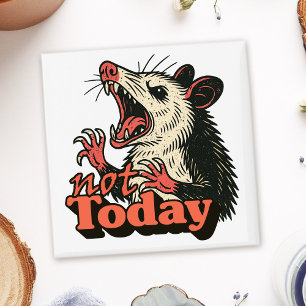 Imã Feral Irritado Possum Hoje Não É Tipografia