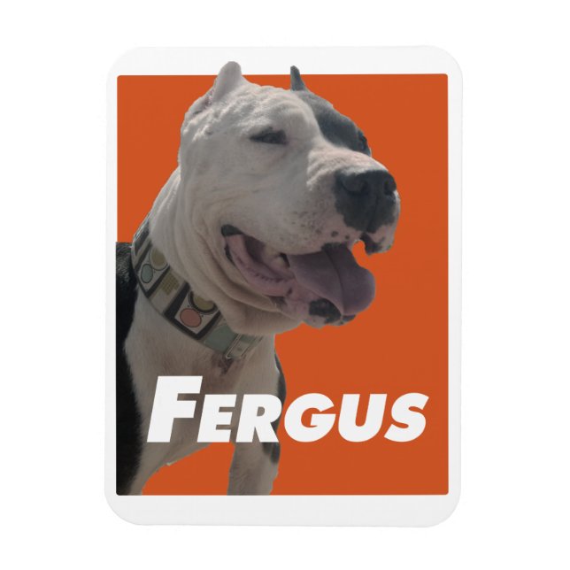 Ímã Fergus The Barbers Dog (Vertical)