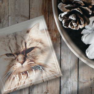 Imã Feriado de Fotos de Pet da Família Chic Moderna d