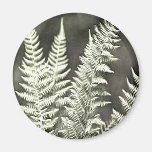 Imã Fern Artístico Abstrato
