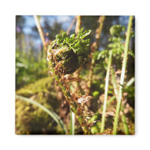 Fern Frond Magnet