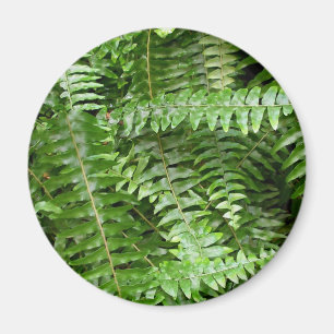 Imã Fern Fronte I Green Nature