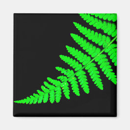 Imã Fern Magnet