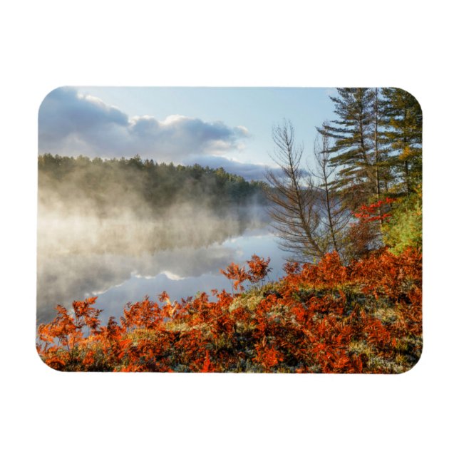 Ímã Ferns na linha costeira | Paraíso, Michigan (Horizontal)