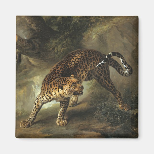 Imã Ferocious Wild Leopard (por Jean-Baptiste Oudry) (Frente)