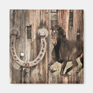 Imã Ferradura de cavalo russa na madeira do celeiro
