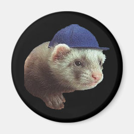 Imã Ferret Vestindo o Hat Magnet