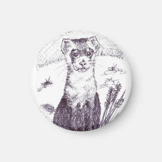 Imã Ferreto de pés pretos - Magneta