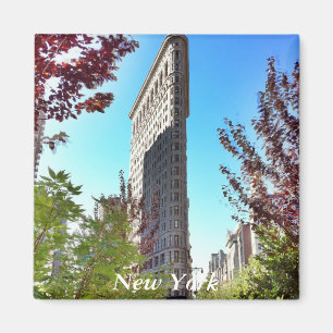 Imã Ferro liso, New York