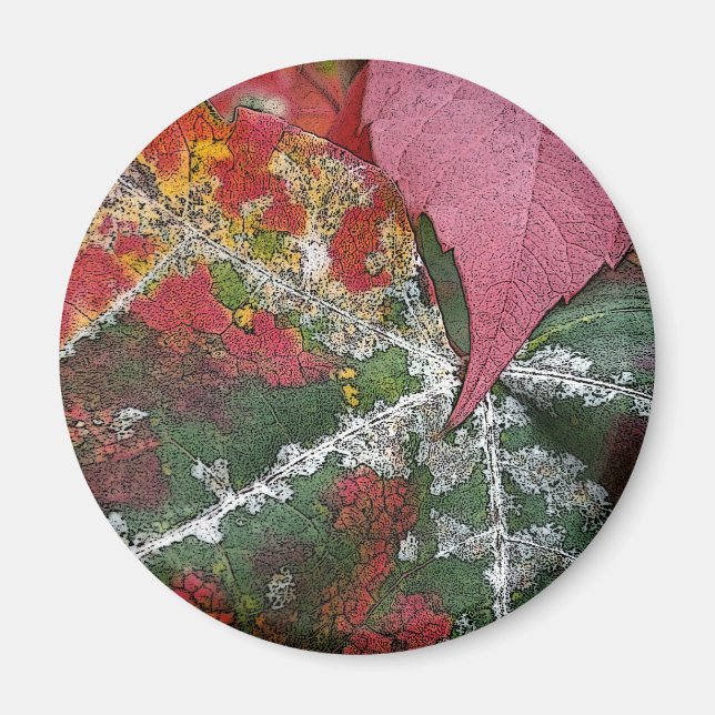 Imã ferrugem do outono (Frente)