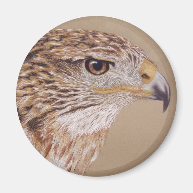 Imã Ferruginous Hawk (Frente)